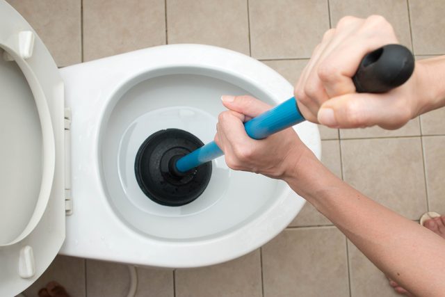 image of women attempting to fix a clogged toilet